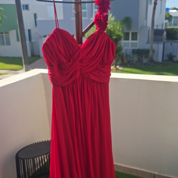 Red Maxi Dress from David Bridal - Picture 1 of 3